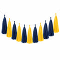 Guirlande de Pompons Décoratifs Bleu et Jaune